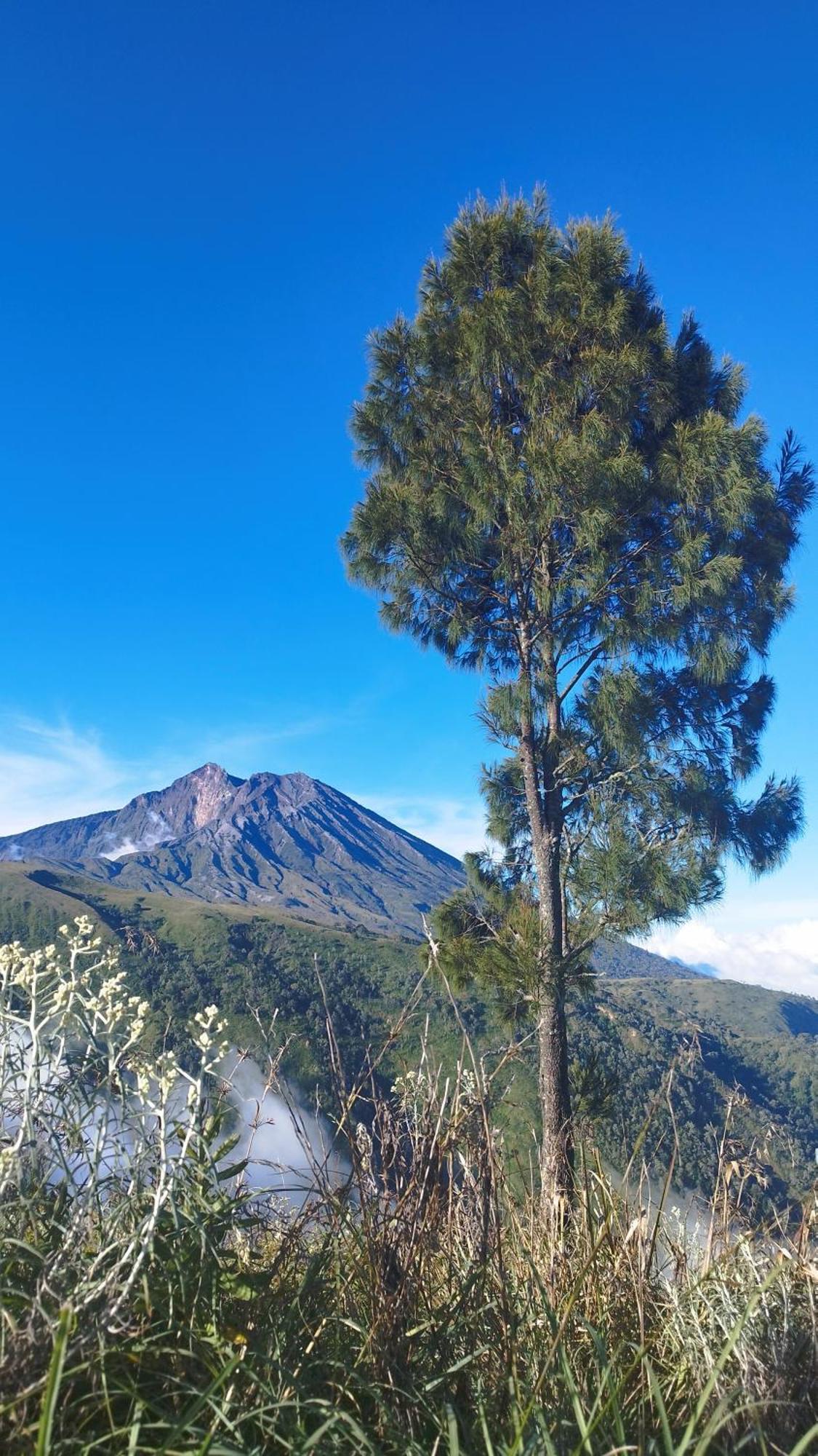 Hide And Seek Tetebatu Exterior foto